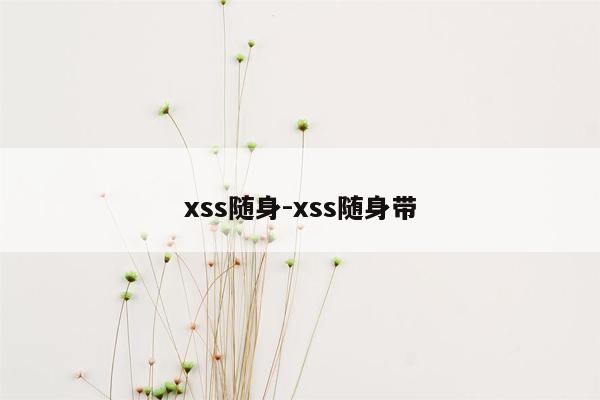 xss随身-xss随身带