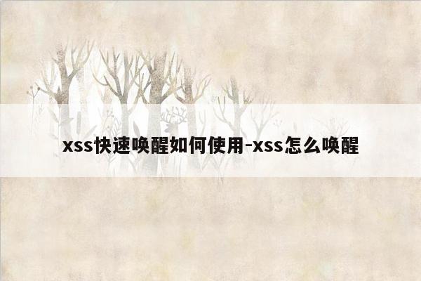 xss快速唤醒如何使用-xss怎么唤醒