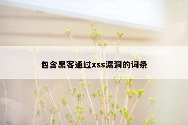 包含黑客通过xss漏洞的词条