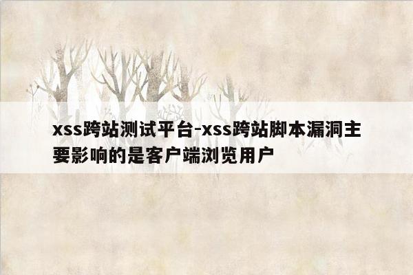 xss跨站测试平台-xss跨站脚本漏洞主要影响的是客户端浏览用户