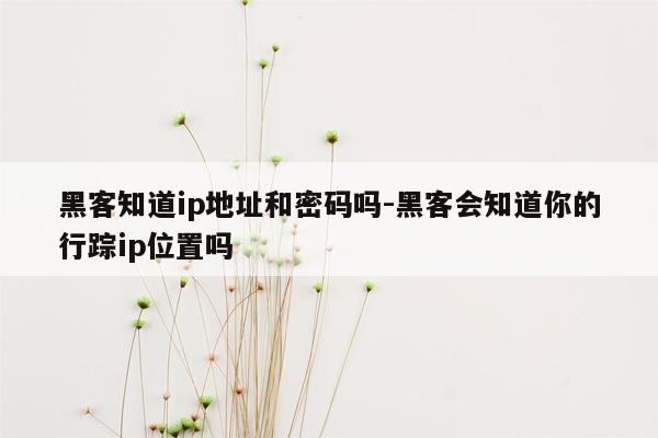 黑客知道ip地址和密码吗-黑客会知道你的行踪ip位置吗