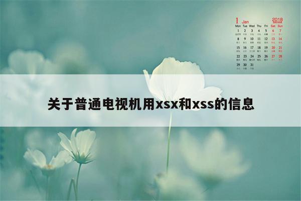 关于普通电视机用xsx和xss的信息