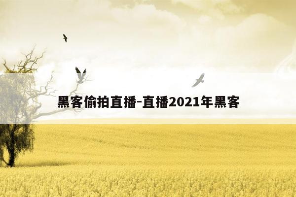 黑客偷拍直播-直播2021年黑客