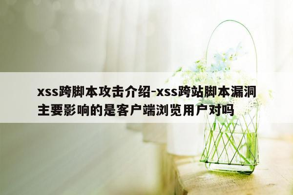 xss跨脚本攻击介绍-xss跨站脚本漏洞主要影响的是客户端浏览用户对吗