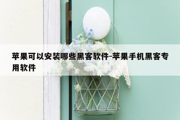 苹果可以安装哪些黑客软件-苹果手机黑客专用软件