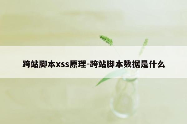 跨站脚本xss原理-跨站脚本数据是什么