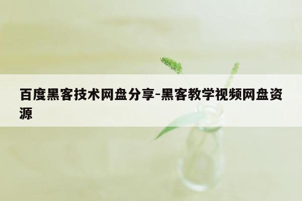 百度黑客技术网盘分享-黑客教学视频网盘资源