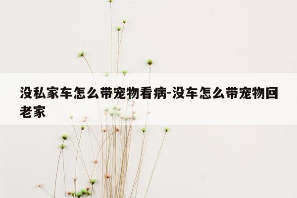 没私家车怎么带宠物看病-没车怎么带宠物回老家