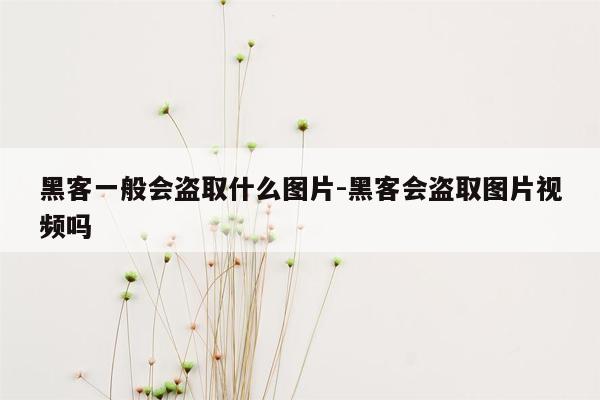 黑客一般会盗取什么图片-黑客会盗取图片视频吗