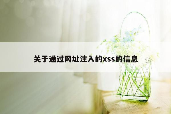 关于通过网址注入的xss的信息