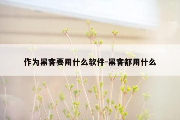 作为黑客要用什么软件-黑客都用什么