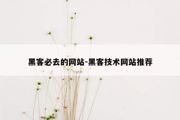 黑客必去的网站-黑客技术网站推荐