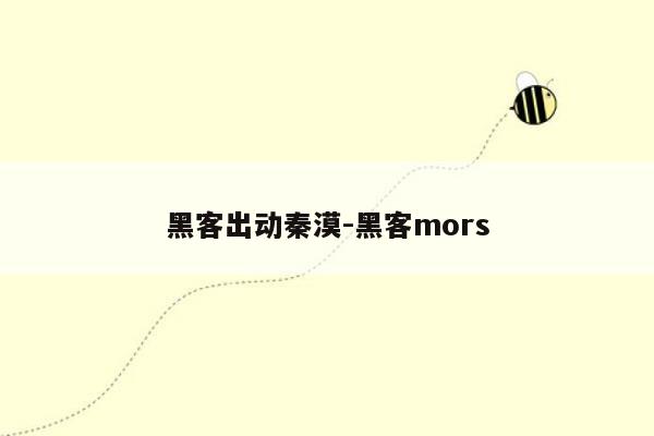 黑客出动秦漠-黑客mors