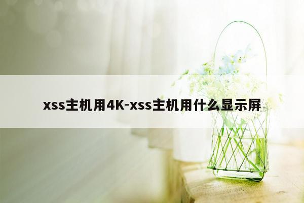 xss主机用4K-xss主机用什么显示屏