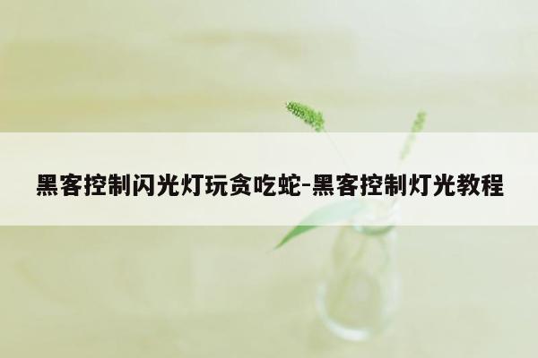 黑客控制闪光灯玩贪吃蛇-黑客控制灯光教程